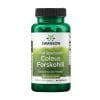 Indiai csalán – Forskolin Swanson, 400 mg (60 kapszula)